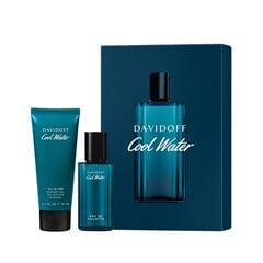 Komplekt Davidoff Cool Water Man: EDT meestele 40 ml + dušigeel 75 ml цена и информация | Мужские духи | kaup24.ee