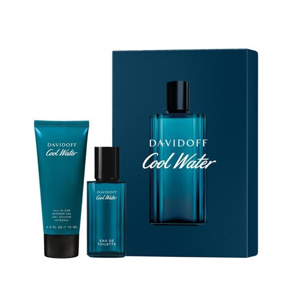 Komplekt Davidoff Cool Water Man: EDT meestele 40 ml + dušigeel 75 ml hind ja info | Meeste parfüümid | kaup24.ee