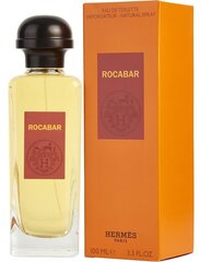 Tualettvesi Hermes Rocabar EDT meestele 100 ml цена и информация | Мужские духи | kaup24.ee