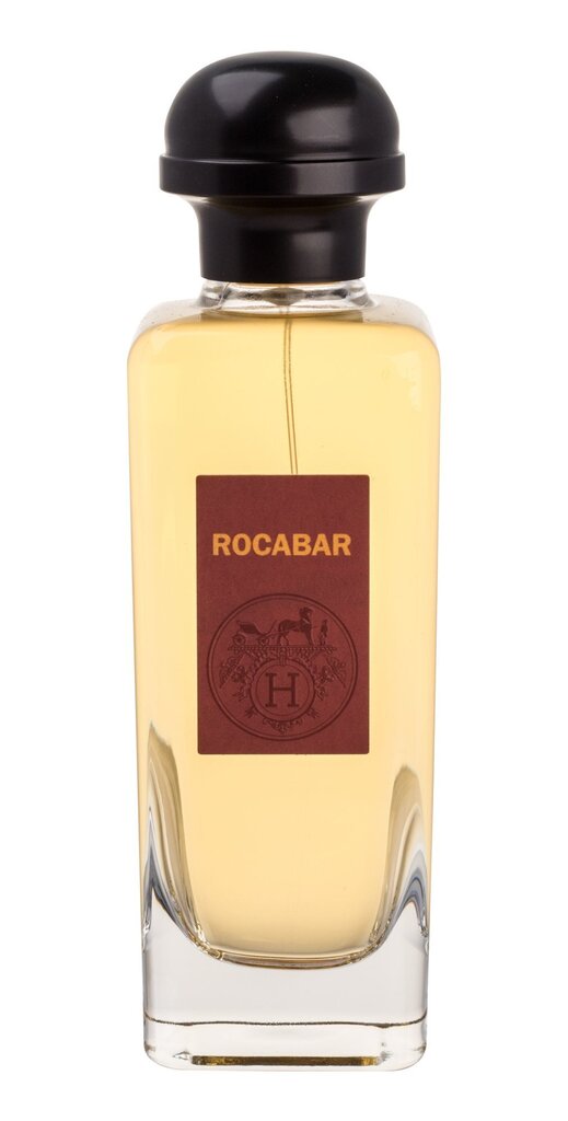 Tualettvesi Hermes Rocabar EDT meestele 100 ml hind ja info | Meeste parfüümid | kaup24.ee