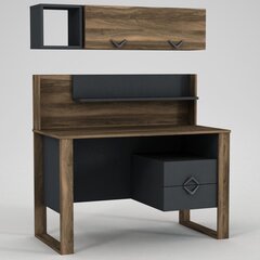 Комплект письменного стола и полки Kalune Design Bumerang, коричневый/серый цена и информация | Компьютерные, письменные столы | kaup24.ee