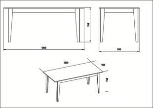 Стол обеденный Kalune Design Polka, белый цена и информация | Кухонные и обеденные столы | kaup24.ee