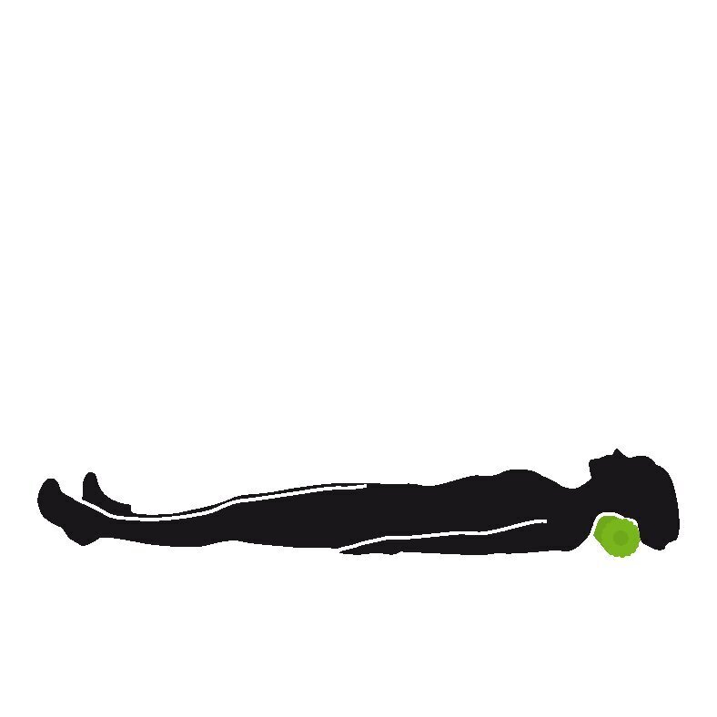 Massaaži treeningsilindrite komplekt Schildkrot, roheline/must hind ja info | Massaažikaubad | kaup24.ee