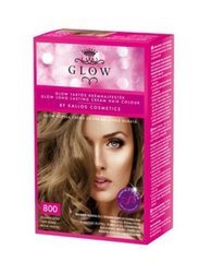 Juuksevärv Kallos Glow 40 ml, 800 Light Blond hind ja info | Juuksevärvid | kaup24.ee