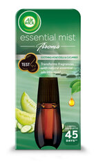 Air Wick Essential Mist наполнитель освежителя воздуха, нежный аромат сладких дынь и огурцов, 20 мл цена и информация | Освежители воздуха | kaup24.ee