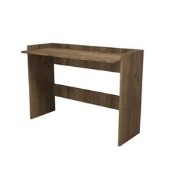 Письменный стол Kalune Design Ermo, коричневый цена и информация | Компьютерные, письменные столы | kaup24.ee