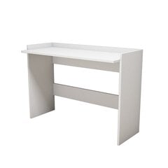 Письменный стол Kalune Design Nalo, белый цена и информация | Компьютерные, письменные столы | kaup24.ee