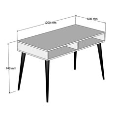 Письменный стол Kalune Design Novo, коричневый цена и информация | Компьютерные, письменные столы | kaup24.ee