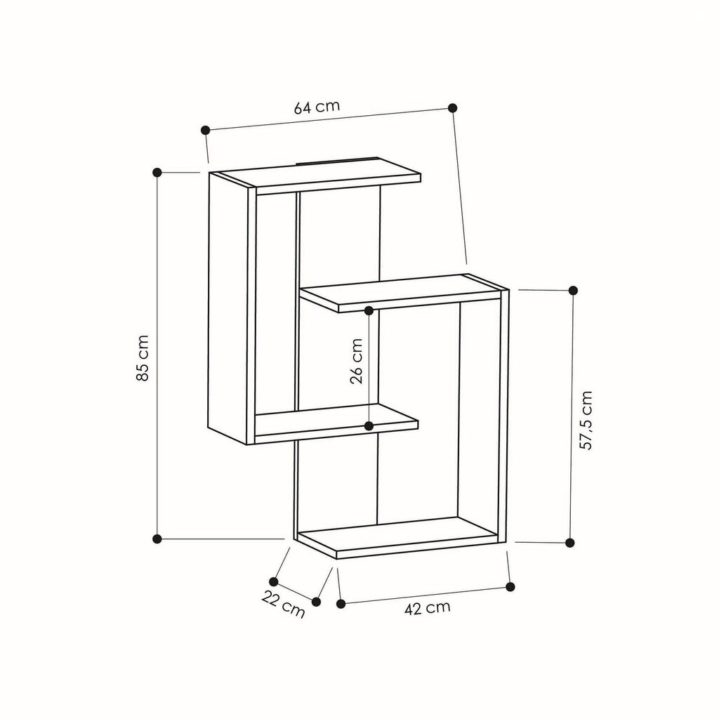 Riiul Kalune Design Paranoid, hall/tumepruun цена и информация | Riiulid | kaup24.ee