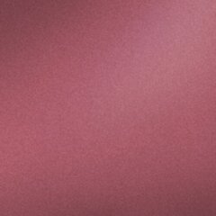 Huulepliiats Isadora Perfect 1,2 g, 206 Velvet Rose цена и информация | Помады, бальзамы, блеск для губ | kaup24.ee