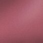 Huulepliiats Isadora Perfect 1,2 g, 206 Velvet Rose hind ja info | Huulepulgad, -läiked, -palsamid, vaseliin | kaup24.ee