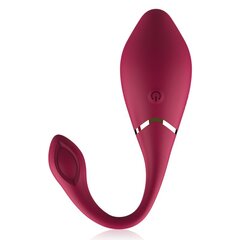 Vibraator Cici Beauty Premium Silicone Egg Vibrator Remote Control, punane цена и информация | Вибраторы | kaup24.ee