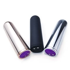 Vibraator Armony Vibrator Bullet, hõbedane цена и информация | Вибраторы | kaup24.ee