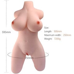 Nukk meestele Armony Realistic Female Torso Model 2, beež цена и информация | Куклы / Мастурбаторы | kaup24.ee