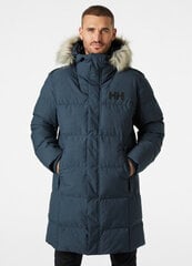 Куртка мужская Helly Hansen, синяя цена и информация | Мужские куртки | kaup24.ee