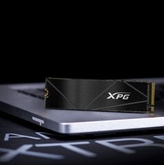 ADATA kõvaketas SSD Disk XPG GAMMIX S50 CORE 2TB PCIe 4x4 3.5/2.8 M2 hind ja info | Sisemised kõvakettad (HDD, SSD, Hybrid) | kaup24.ee