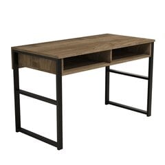 Письменный стол Kalune Design Nove, коричневый цена и информация | Компьютерные, письменные столы | kaup24.ee
