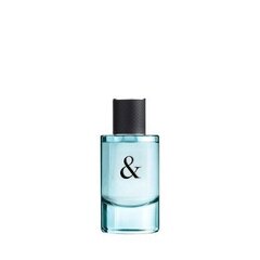 Tualettvesi Tiffany & Co Love Him EDT meestele 50 ml hind ja info | Meeste parfüümid | kaup24.ee