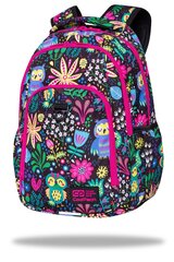 Рюкзак CoolPack Strike Color Bomb C18244 цена и информация | Школьные рюкзаки, спортивные сумки | kaup24.ee