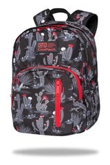 Рюкзак CoolPack Discovery Gringo C38254 цена и информация | Школьные рюкзаки, спортивные сумки | kaup24.ee