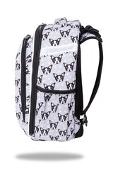 Рюкзак CoolPack Turtle French Bulldogs C15247 цена и информация | Школьные рюкзаки, спортивные сумки | kaup24.ee