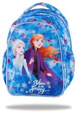 Рюкзак с подсветкой CoolPack Joy S LED Холодное сердце (Frozen II) B47306 цена и информация | Школьные рюкзаки, спортивные сумки | kaup24.ee