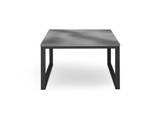 Уличный стол Calme Jardin Nicea L, серый/темно-серый цена и информация | Садовые столы и столики | kaup24.ee