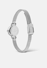 Часы для женщин Daniel Wellington Petite Mini DW00100746 цена и информация | Женские часы | kaup24.ee