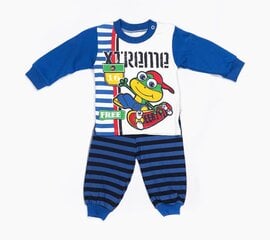 Комплект для мальчиков цена и информация | Комплекты одежды для новорожденных | kaup24.ee