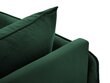 Kanapee Cosmopolitan Design Florence, roheline hind ja info | Diivanid ja diivanvoodid | kaup24.ee