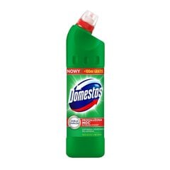 DOMESTOS густое дезинфицирующее чистящее средство Pine, 750 мл цена и информация | Очистители | kaup24.ee