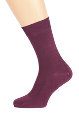 Мужские носки TAUNO темно-лилового цвета DARK LILAC цена и информация | Meeste sokid | kaup24.ee