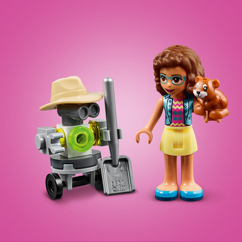 41425 LEGO® Friends Olivia lilleaed цена и информация | Klotsid ja konstruktorid | kaup24.ee