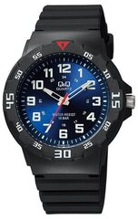 Часы Q&Q VR18J005Y цена и информация | Мужские часы | kaup24.ee