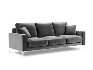 Трехместный бархатный диван Kooko Home Lyrique, серый цена и информация | Диваны | kaup24.ee