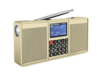 (Kuldne)Uued kaasaskantavad raadiod AM FM-raadio digitaalne DAB-raadio MP3 muusika taasesitus taaslaetav 2000 mAh stereo kahekordne 3 W Bluetooth-kõlar цена и информация | Радиоприемники и будильники | kaup24.ee