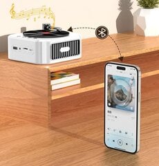 Retro vinüül bluetooth kõlar subwoofer mini kaasaskantav kaart USB juhtmevaba kõlar hind ja info | Koduaudio ja 