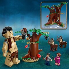 75967 LEGO® Гарри Поттер Запретный лес: Столкновение с Амбридж цена и информация | Конструкторы и кубики | kaup24.ee