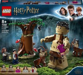 75967 LEGO® Гарри Поттер Запретный лес: Столкновение с Амбридж цена и информация | Конструкторы и кубики | kaup24.ee