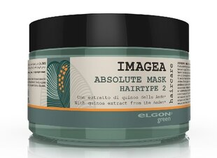 Looduslik mask värvitud juustele ELGON IMAGEA ABSOLUTE 200 ml цена и информация | Средства для укрепления волос | kaup24.ee