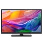 Panasonic televiisor TV-24S50AEZ hõbedane цена и информация | Telerid | kaup24.ee