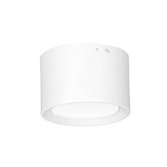Luminex потолочный светильник, белый цена и информация | Потолочные светильники | kaup24.ee