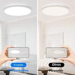 Moodsad LED-laevalgustid 18W 30W timmitav ümmargune laelamp 220V elutuppa Magamistoa kööki Sisevalgustid Soe valge 30W must цена и информация | Светильники-вентиляторы | kaup24.ee