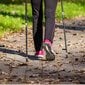 Nordic Walking Trekking Käimiskepid Ja Asfaldi Korgid Kohtade Katte Kork цена и информация | Käimiskepid | kaup24.ee