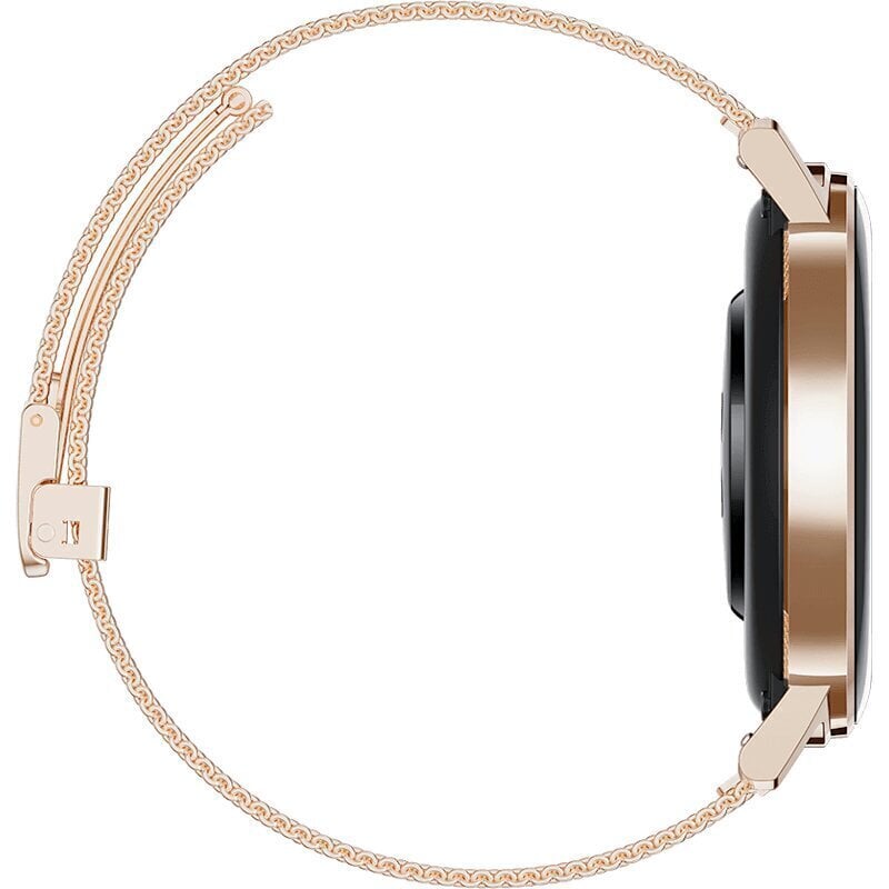 Huawei Watch GT2 Classic, 42 mm, Gold цена и информация | Nutikellad (smartwatch) | kaup24.ee