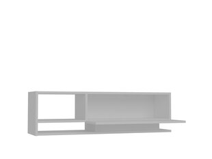 ТВ столик Kalune Design Damla, белый цена и информация | Тумбы под телевизор | kaup24.ee