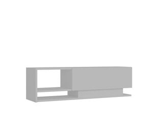 ТВ столик Kalune Design Damla, белый цена и информация | Тумбы под телевизор | kaup24.ee