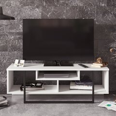 ТВ столик Kalune Design Asal 120 см, белый/черный цена и информация | Тумбы под телевизор | kaup24.ee