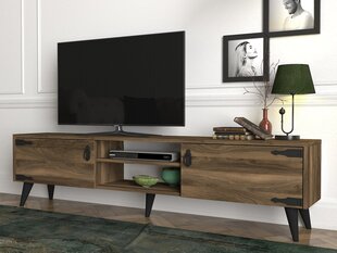 Столик под телевизор Kalune Design Anthes 2, коричневый/чёрный цена и информация | Тумбы под телевизор | kaup24.ee