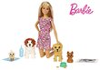 Barbie™ nukk kutsuga FXH08 hind ja info | Tüdrukute mänguasjad | kaup24.ee